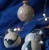 DSC05938.JPG